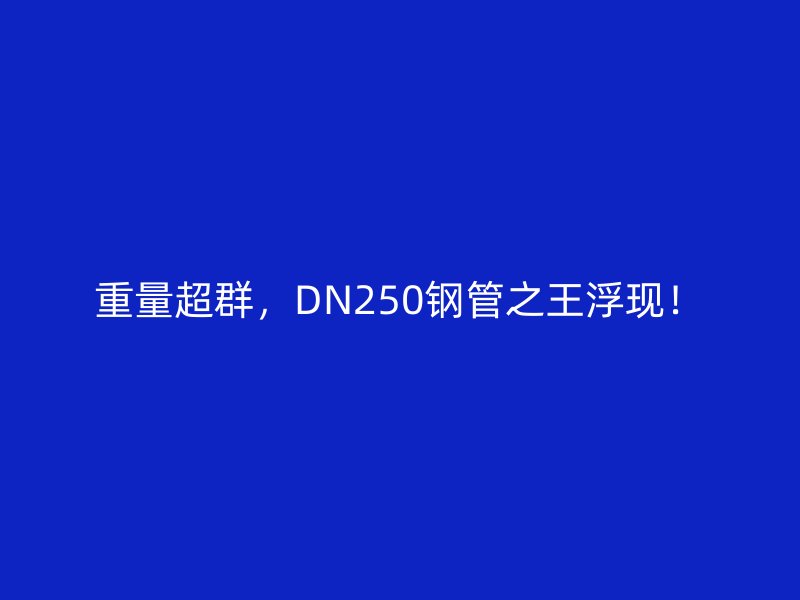 重量超群，DN250鋼管之王浮現！